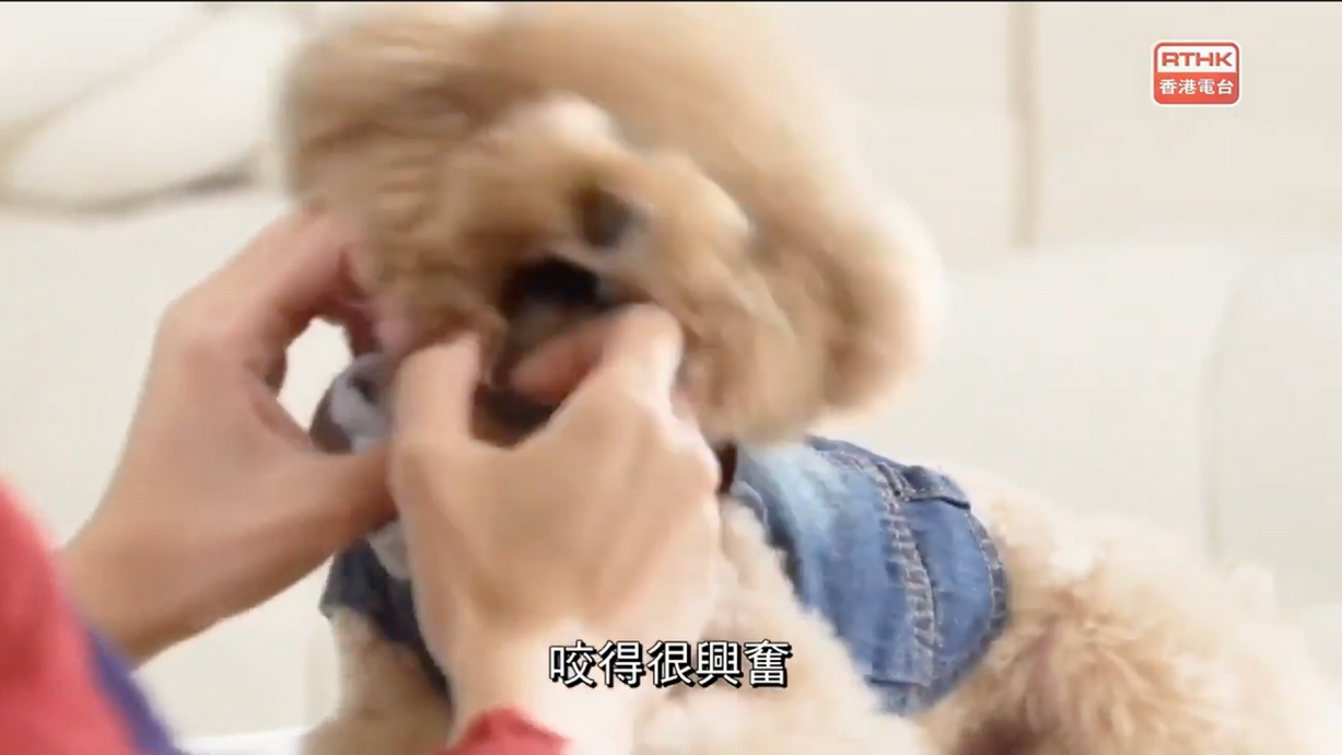 Pet Pet攪邊科2 - 咬人手腳點算好？